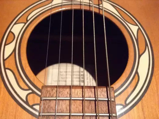 History and significance of Indian string instruments